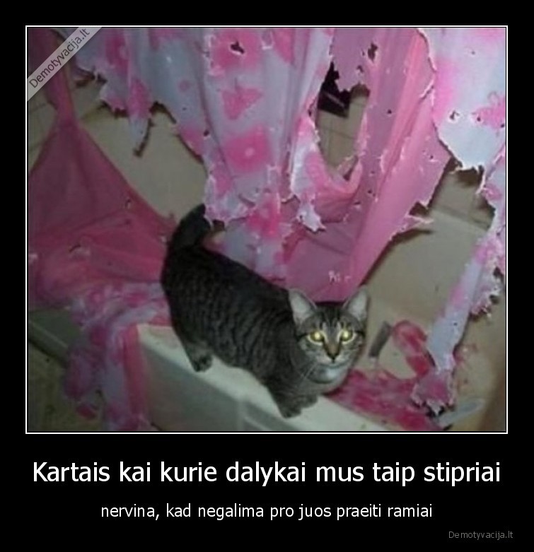 Kartais kai kurie dalykai mus taip stipriai - nervina, kad negalima pro juos praeiti ramiai. 