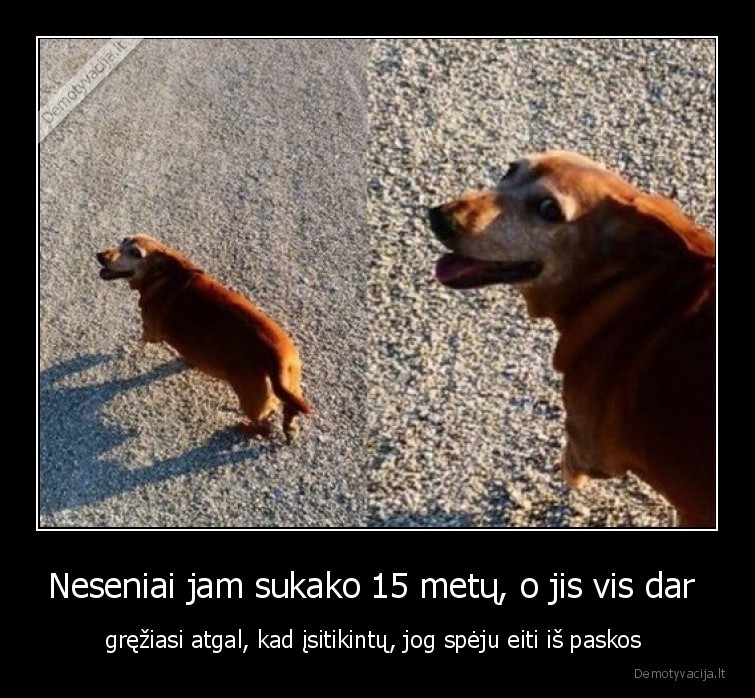 Neseniai jam sukako 15 metų, o jis vis dar  - gręžiasi atgal, kad įsitikintų, jog spėju eiti iš paskos . 