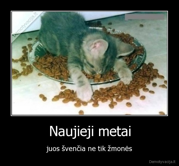 Naujieji metai - juos švenčia ne tik žmonės. 