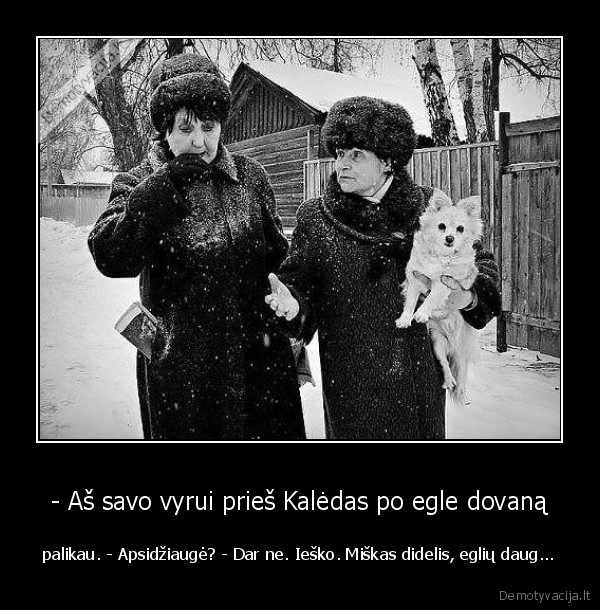 - Aš savo vyrui prieš Kalėdas po egle dovaną - palikau. - Apsidžiaugė? - Dar ne. Ieško. Miškas didelis, eglių daug.... 