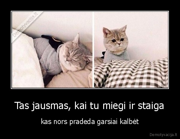 Tas jausmas, kai tu miegi ir staiga - kas nors pradeda garsiai kalbėt. 