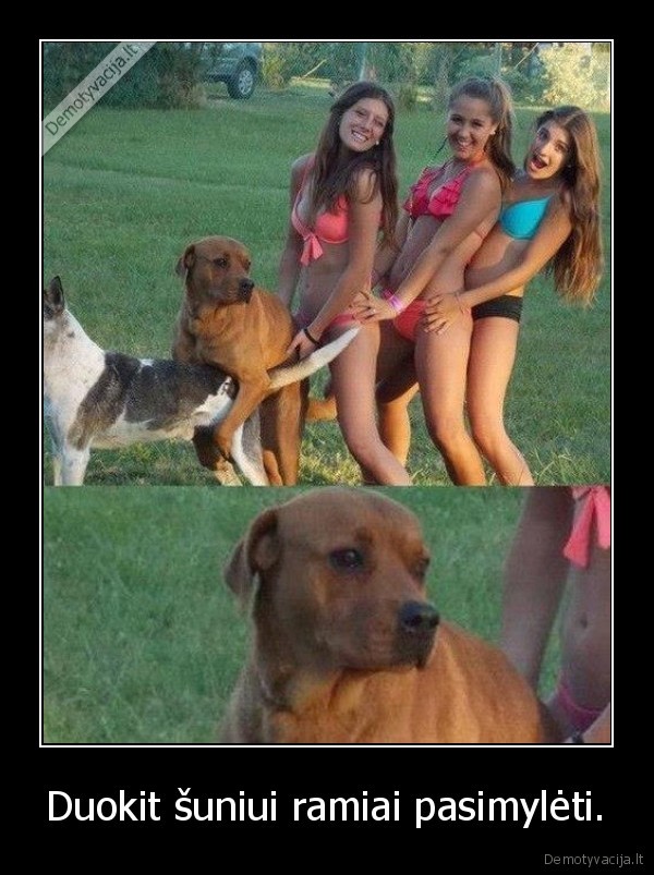 Duokit šuniui ramiai pasimylėti.