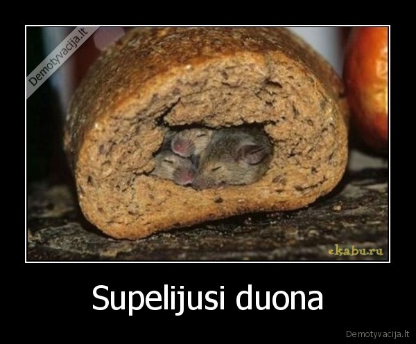 Supelijusi duona. 