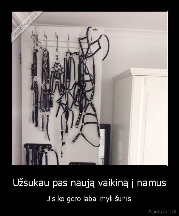 Užsukau pas naują vaikiną į namus - Jis ko gero labai myli šunis. 