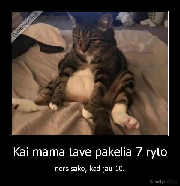 Kai mama tave pakelia 7 ryto - nors sako, kad jau 10.. 