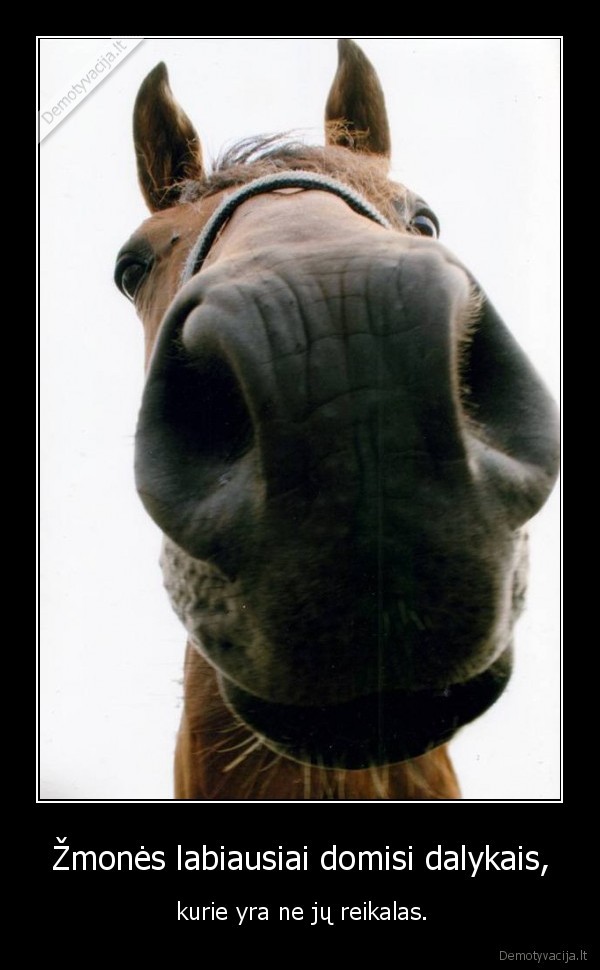 Žmonės labiausiai domisi dalykais, - kurie yra ne jų reikalas.