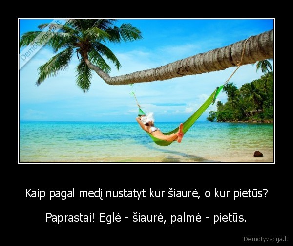 Kaip pagal medį nustatyt kur šiaurė, o kur pietūs? - Paprastai! Eglė - šiaurė, palmė - pietūs.. 