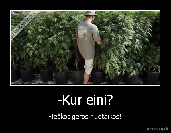 -Kur eini? - -Ieškot geros nuotaikos!. 