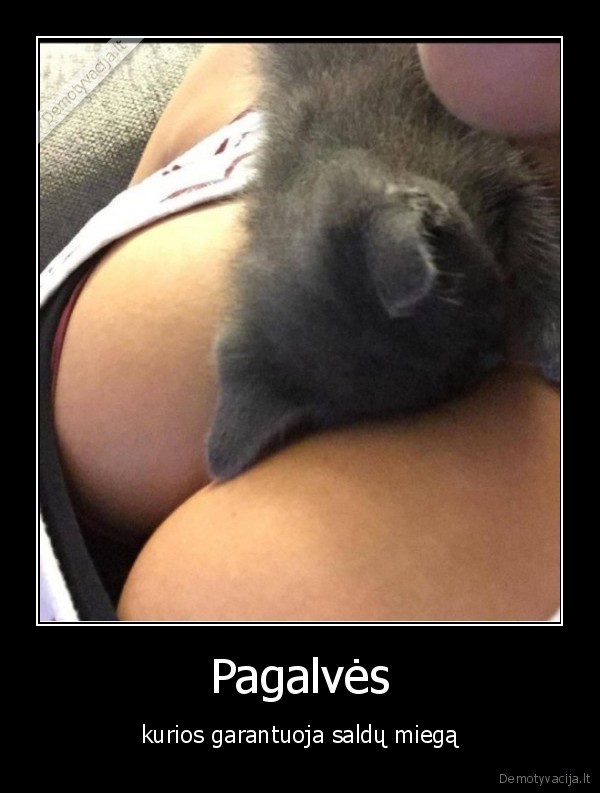 Pagalvės - kurios garantuoja saldų miegą. 