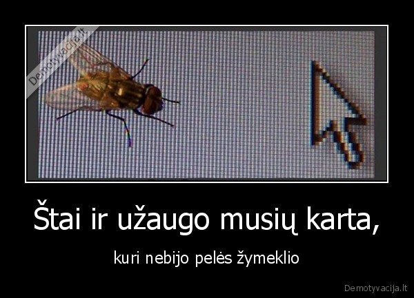 Štai ir užaugo musių karta, - kuri nebijo pelės žymeklio. 