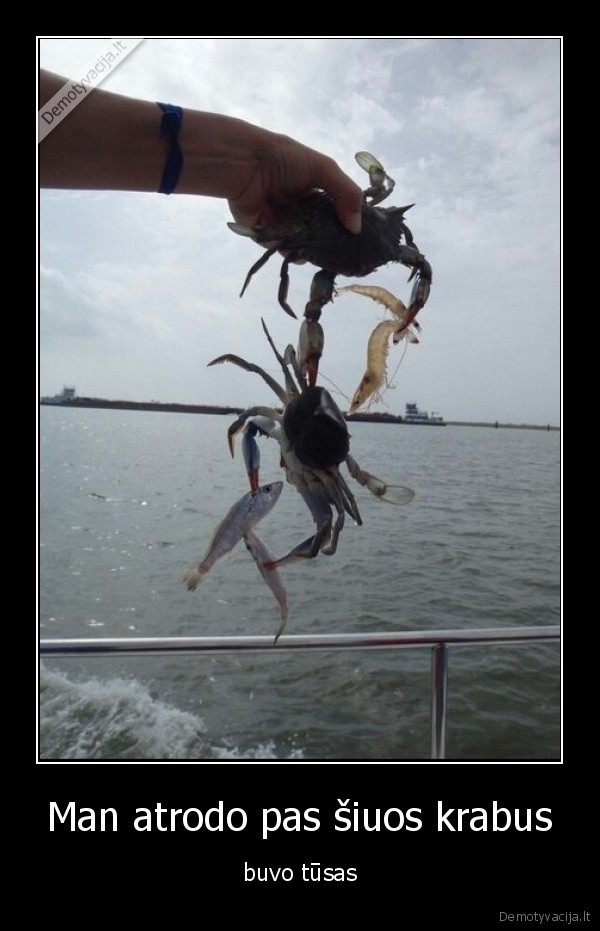 Man atrodo pas šiuos krabus - buvo tūsas. 