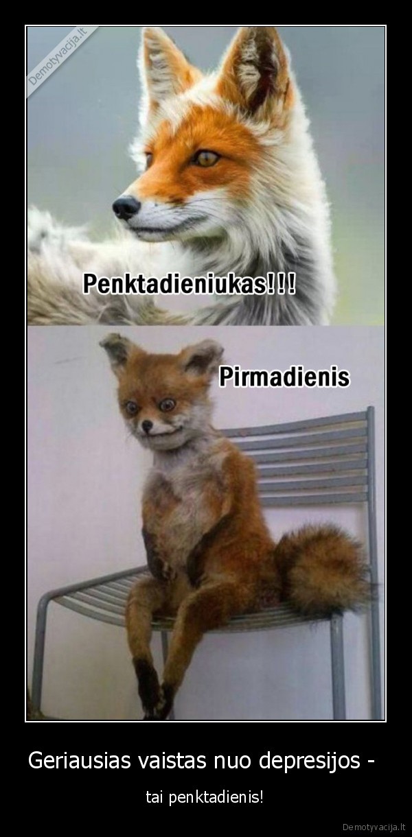Geriausias vaistas nuo depresijos -  - tai penktadienis!. 