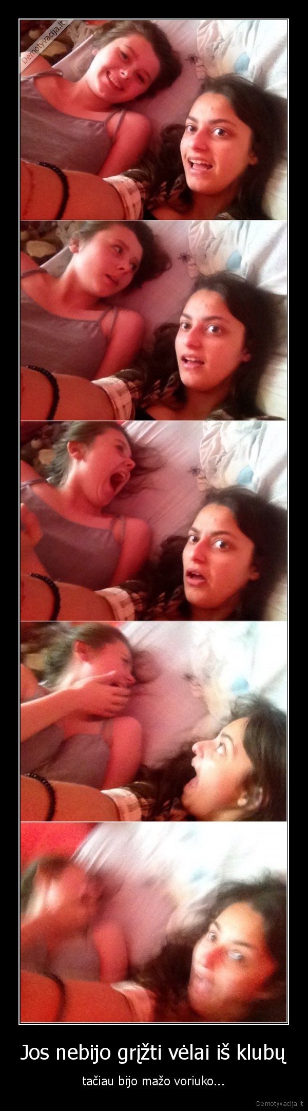 Jos nebijo grįžti vėlai iš klubų - tačiau bijo mažo voriuko.... 