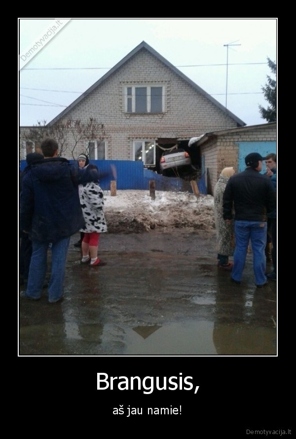 Brangusis, - aš jau namie!. 