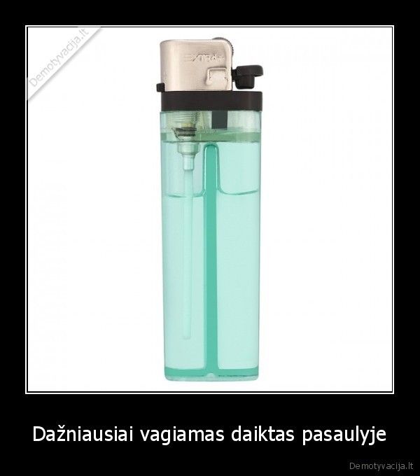 Dažniausiai vagiamas daiktas pasaulyje. 