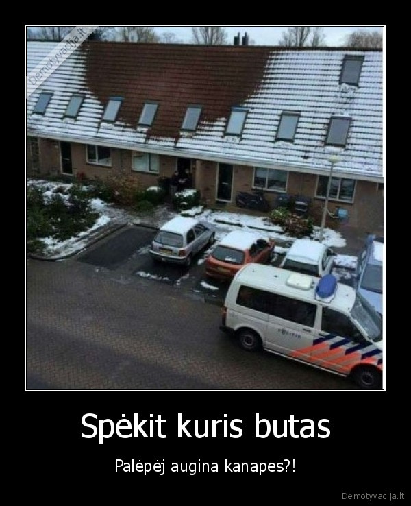 Spėkit kuris butas - Palėpėj augina kanapes?!. 