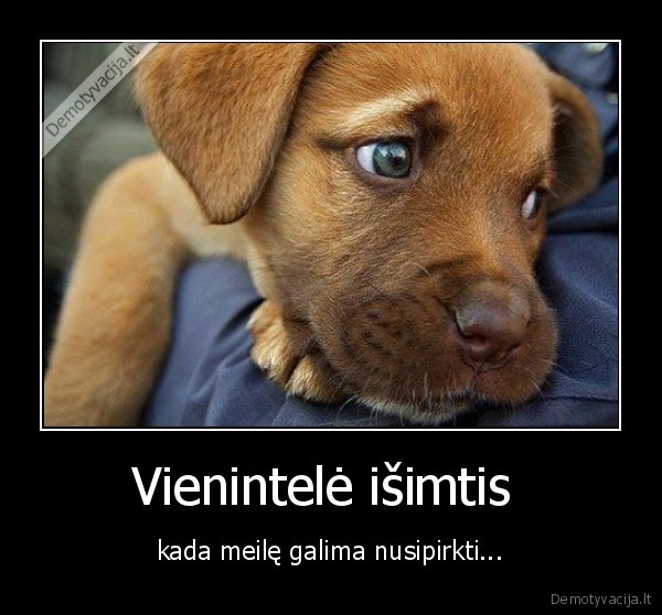 Vienintelė išimtis  - kada meilę galima nusipirkti.... 