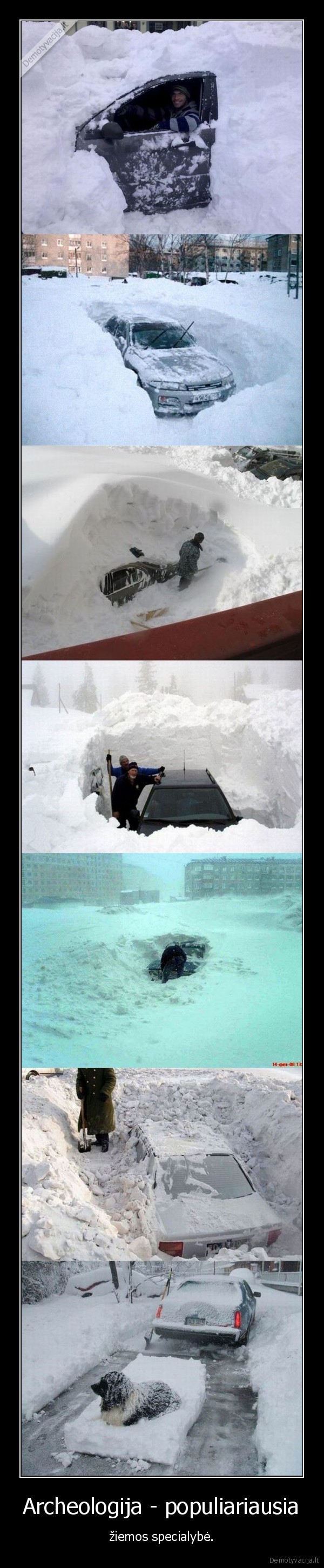 Archeologija - populiariausia - žiemos specialybė.