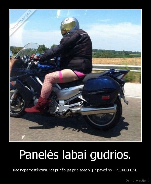 Panelės labai gudrios. - Kad nepamest kojinių jos pririšo jas prie apatinių ir pavadino - PEDKELNĖM.. 