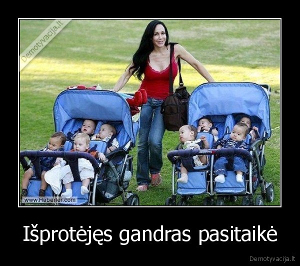 Išprotėjęs gandras pasitaikė. 