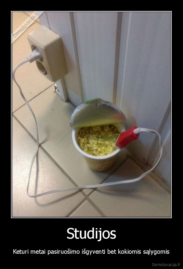 Studijos - Keturi metai pasiruošimo išgyventi bet kokiomis sąlygomis. 