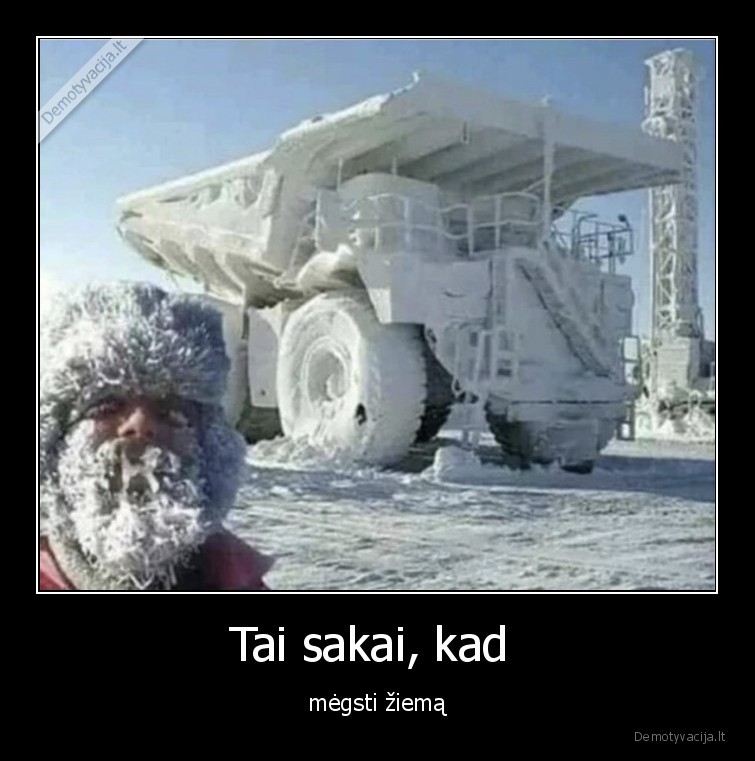Tai sakai, kad  - mėgsti žiemą. 