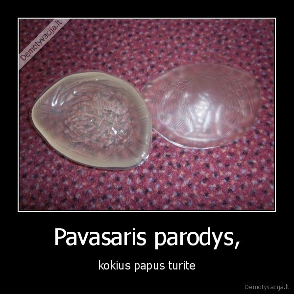 Pavasaris parodys, - kokius papus turite. 