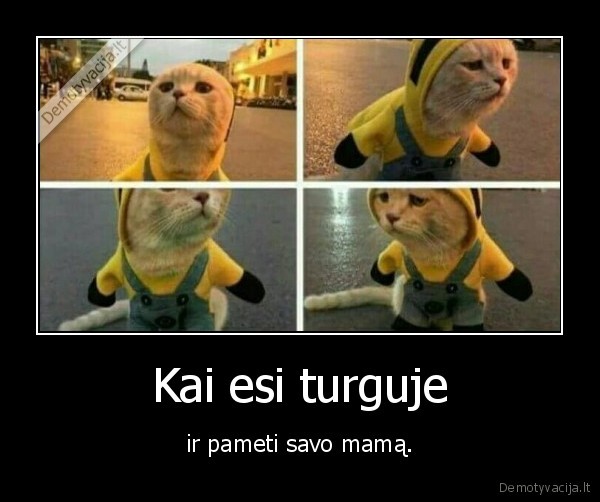 Kai esi turguje - ir pameti savo mamą.. 