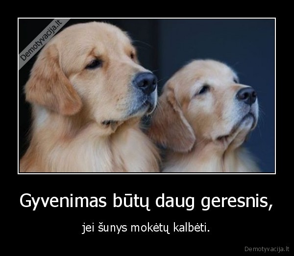 Gyvenimas būtų daug geresnis, - jei šunys mokėtų kalbėti.. 