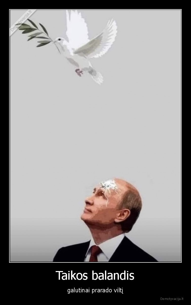 Taikos balandis - galutinai prarado viltį. 