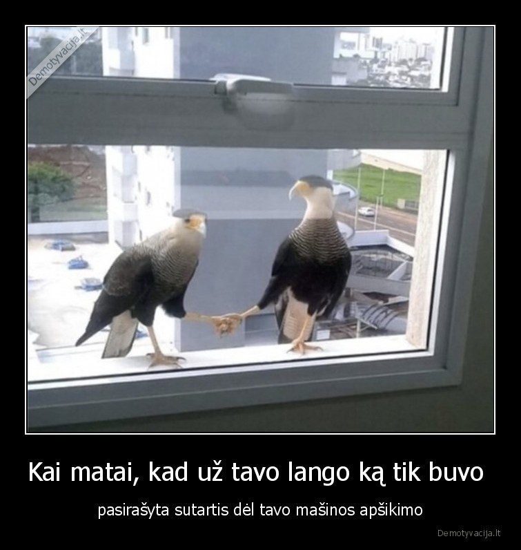 Kai matai, kad už tavo lango ką tik buvo  - pasirašyta sutartis dėl tavo mašinos apšikimo. 