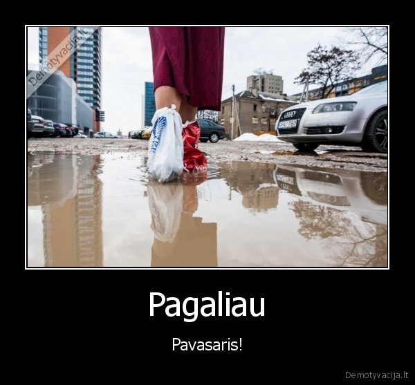 Pagaliau - Pavasaris!. 