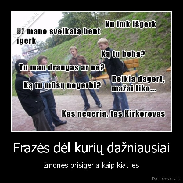 Frazės dėl kurių dažniausiai - žmonės prisigeria kaip kiaulės. 