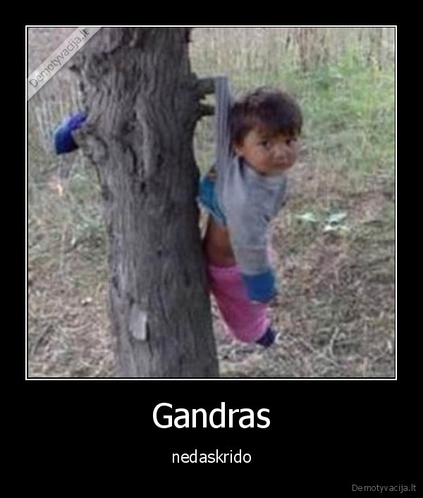 Gandras - nedaskrido. 