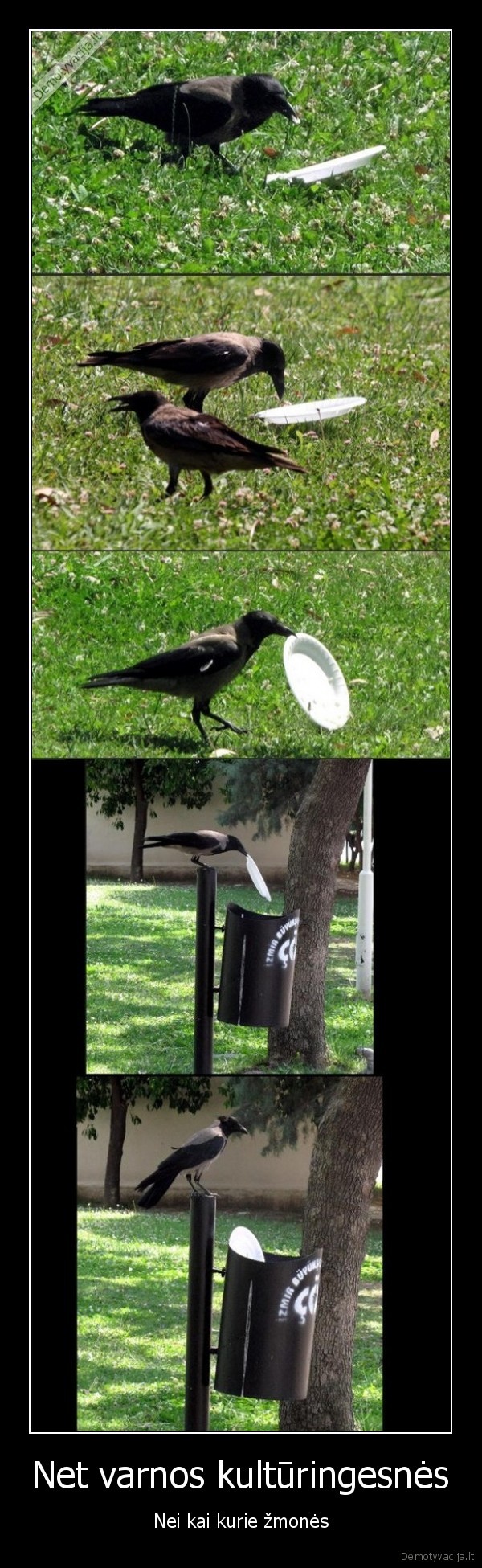 Net varnos kultūringesnės - Nei kai kurie žmonės. 
