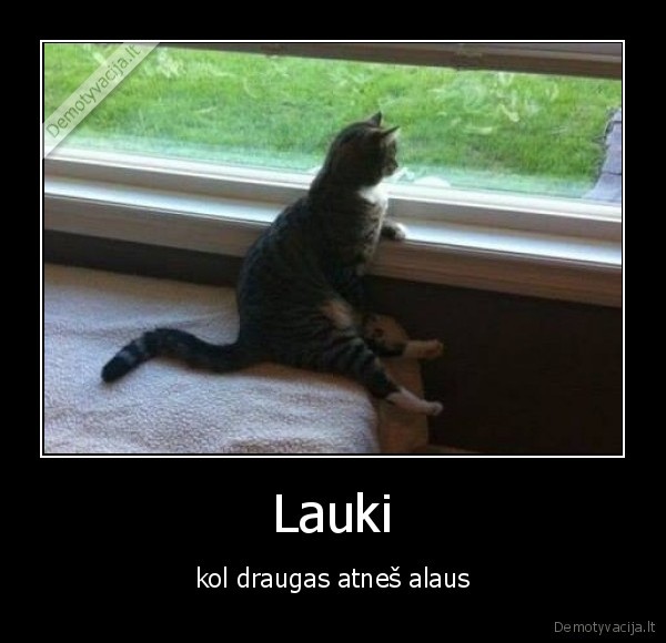 Lauki - kol draugas atneš alaus. 