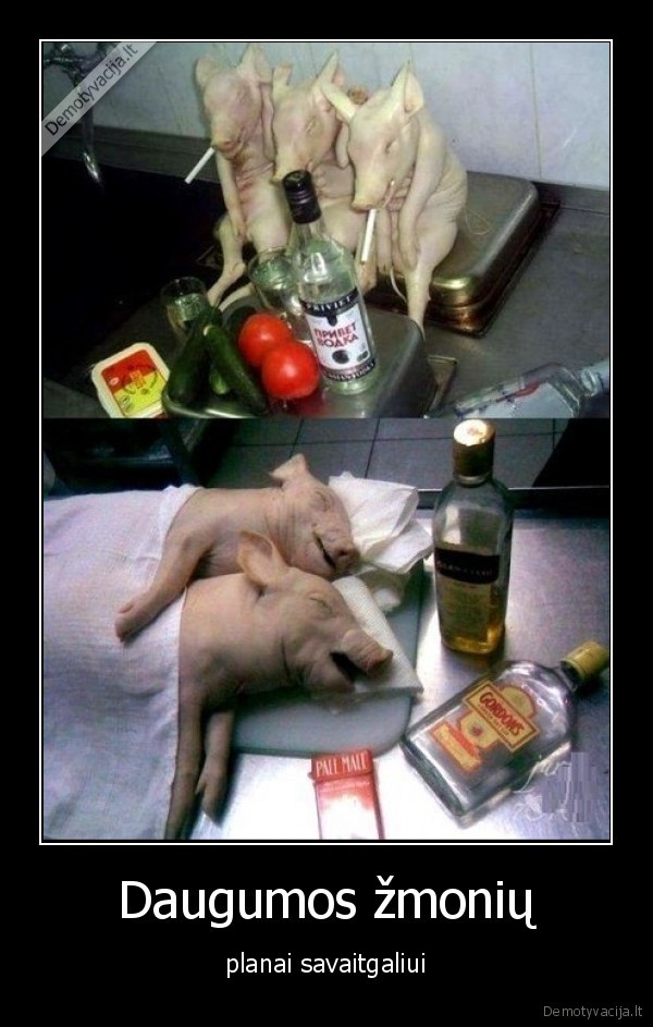 Daugumos žmonių - planai savaitgaliui. 