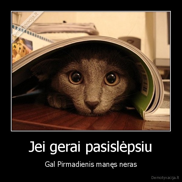 Jei gerai pasislėpsiu - Gal Pirmadienis manęs neras. 
