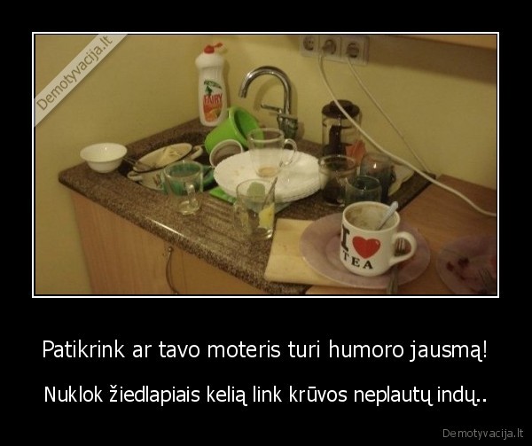 Patikrink ar tavo moteris turi humoro jausmą! - Nuklok žiedlapiais kelią link krūvos neplautų indų... 