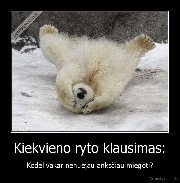 Kiekvieno ryto klausimas: - Kodėl vakar nenuėjau anksčiau miegoti?