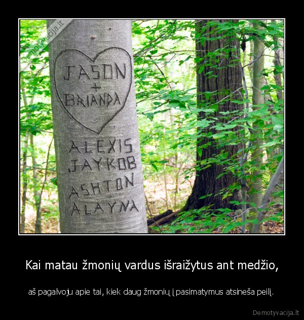 Kai matau žmonių vardus išraižytus ant medžio, - aš pagalvoju apie tai, kiek daug žmonių į pasimatymus atsineša peilį.. 