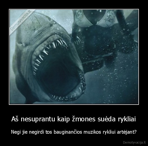 Aš nesuprantu kaip žmones suėda rykliai - Negi jie negirdi tos bauginančios muzikos rykliui artėjant?. 