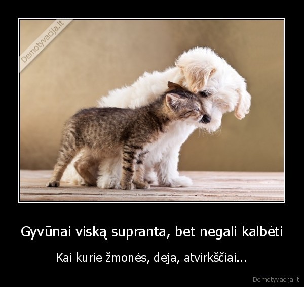 Gyvūnai viską supranta, bet negali kalbėti - Kai kurie žmonės, deja, atvirkščiai.... 