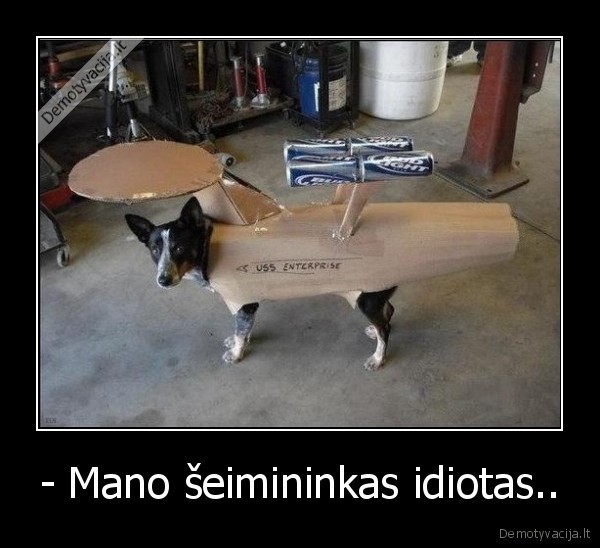 - Mano šeimininkas idiotas..