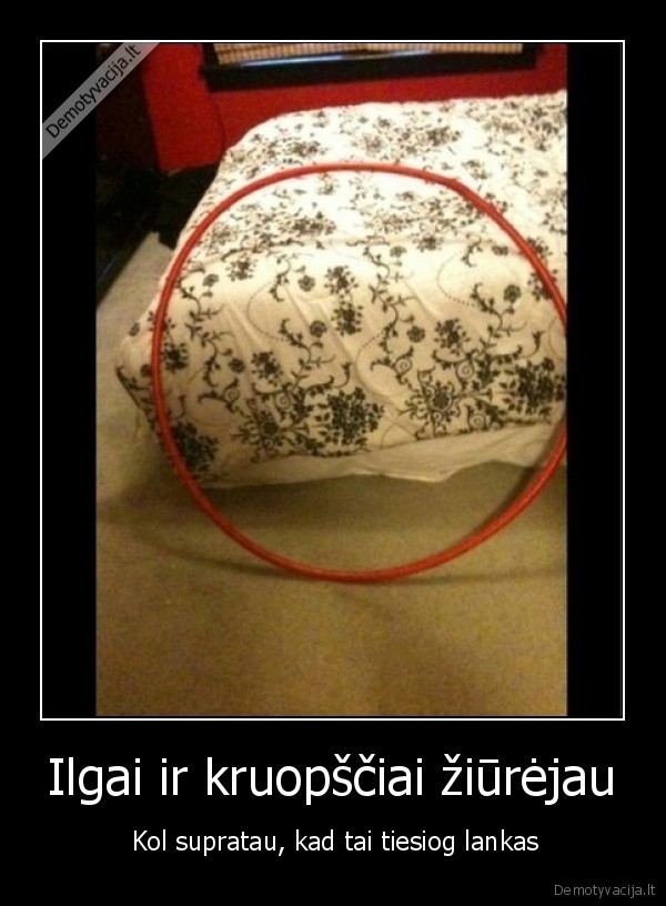 Ilgai ir kruopščiai žiūrėjau -  Kol supratau, kad tai tiesiog lankas. 