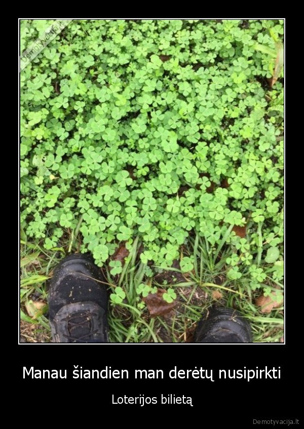 Manau šiandien man derėtų nusipirkti - Loterijos bilietą. 