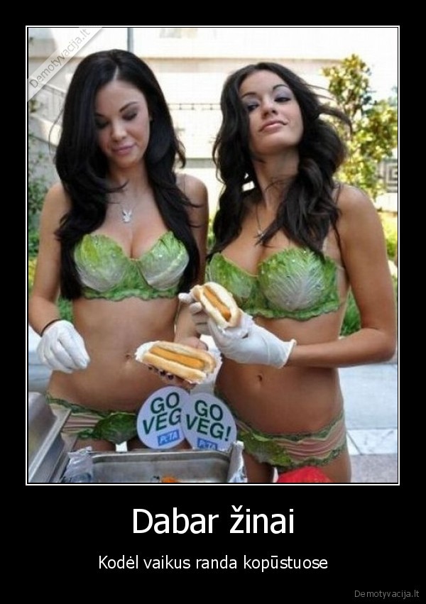 Dabar žinai - Kodėl vaikus randa kopūstuose. 