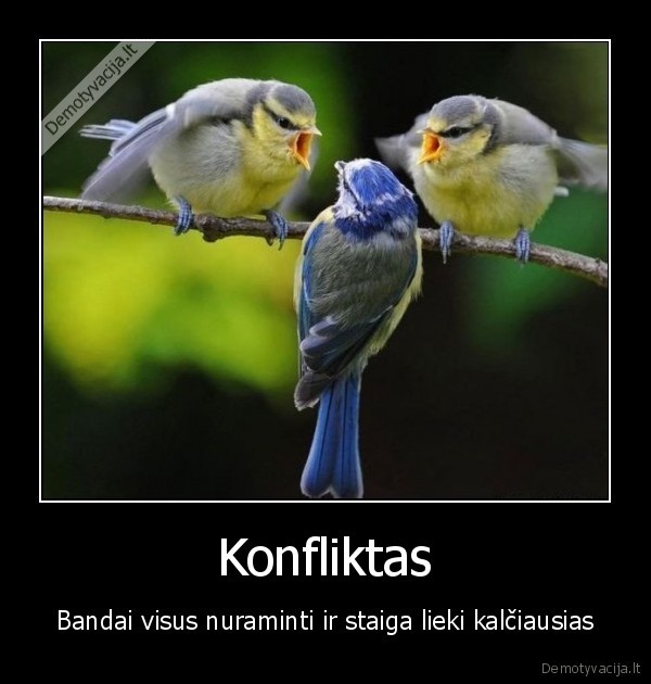 Konfliktas - Bandai visus nuraminti ir staiga lieki kalčiausias