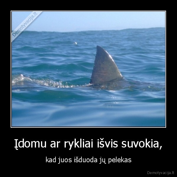 Įdomu ar rykliai išvis suvokia, - kad juos išduoda jų pelekas. 