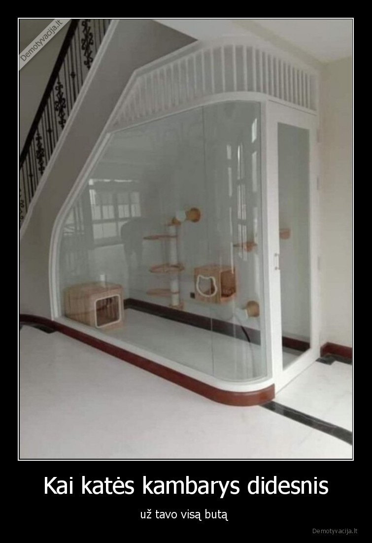Kai katės kambarys didesnis - už tavo visą butą . 